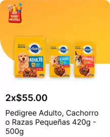 Catálogo OXXO Página 36