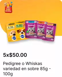 Catálogo OXXO Página 73