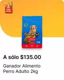 Catálogo OXXO Página 84
