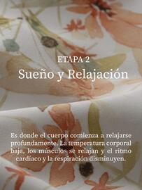 Catálogo Plumas semana 2 Página 3