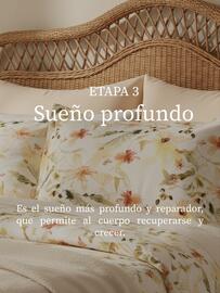 Catálogo Plumas semana 2 Página 4