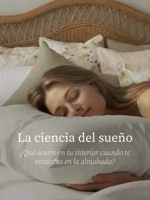 Catálogo Plumas (válido hasta 15-01)