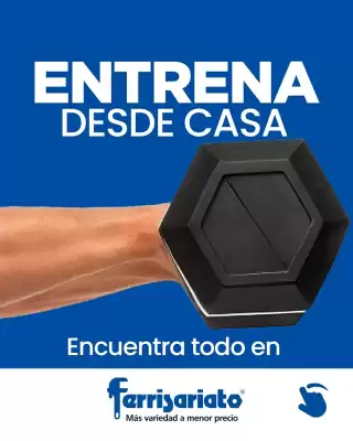 Catálogo Ferrisariato (válido hasta 15-01)