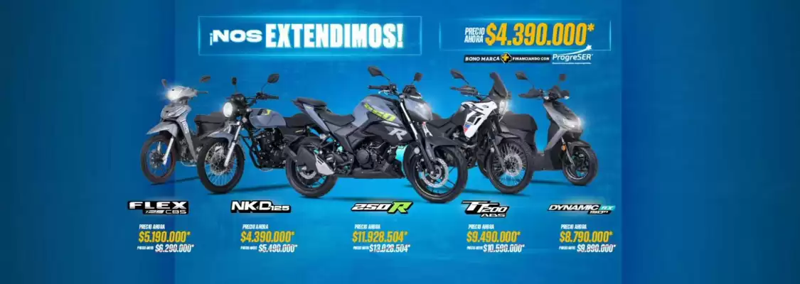 Catálogo AKT (válido hasta 31-01)