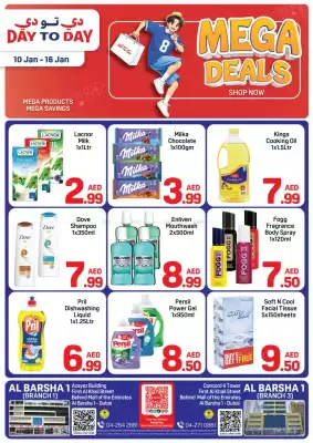 Day To Day catalogue (valid until 16-01)