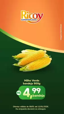 Catálogo Ricoy Supermercados (válido até 11-01)
