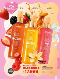 Catálogo Pacífika Página 175