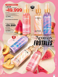 Catálogo Pacífika Página 179