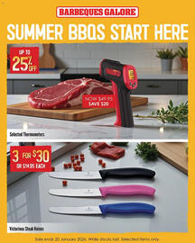 Barbeques Galore catalogue Page 8