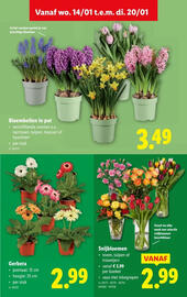 Lidl folder week 3 Pagina 35