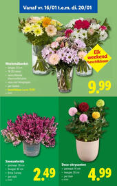 Lidl folder week 3 Pagina 55