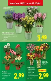 Lidl folder week 3 Pagina 35