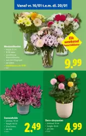 Lidl folder week 3 Pagina 55