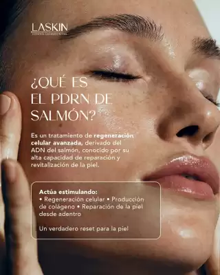 Catálogo Laskin (válido hasta 12-01)