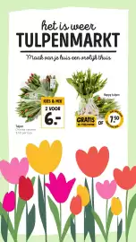 Jumbo folder week 3 Pagina 17