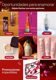 Catálogo Natura Página 5