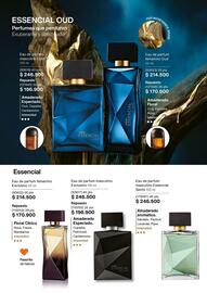 Catálogo Natura Página 55