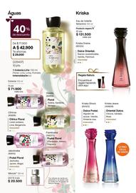 Catálogo Natura Página 65