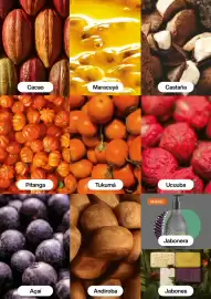 Catálogo Natura Página 111