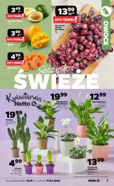 Netto gazetka tydzień 3 Strona 7