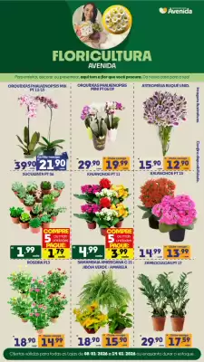 Catálogo Supermercados Avenida (válido até 14-01)