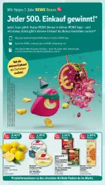 REWE DE tilbudsavis uge 3 Side 3