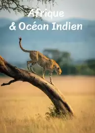 Catalogue Fram page 106