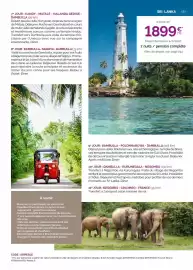 Catalogue Fram page 181