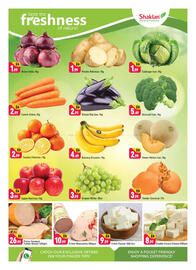 Shaklan leaflet Page 2