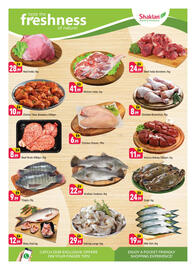 Shaklan leaflet Page 3