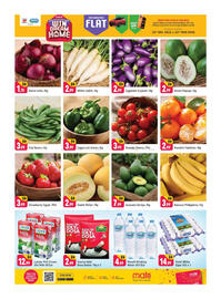 Shaklan leaflet Page 2