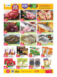 Shaklan leaflet Page 3