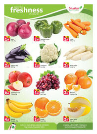 Shaklan leaflet Page 2