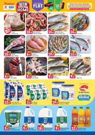 Shaklan leaflet Page 3