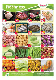 Shaklan leaflet Page 7