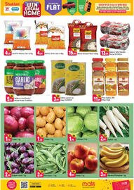 Shaklan leaflet Page 3