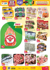 Shaklan leaflet Page 5