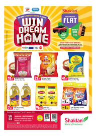 Shaklan leaflet Page 1