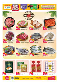 Shaklan leaflet Page 3