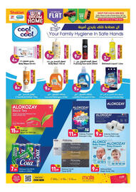 Shaklan leaflet Page 6