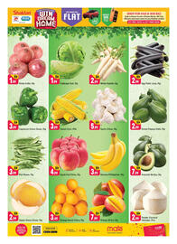 Shaklan leaflet Page 2