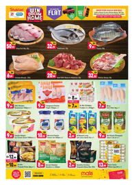 Shaklan leaflet Page 3