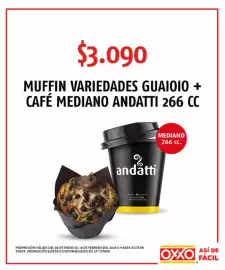 Catálogo OXXO Página 17