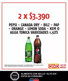 Catálogo OXXO Página 30