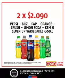 Catálogo OXXO Página 31
