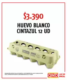 Catálogo OXXO Página 4