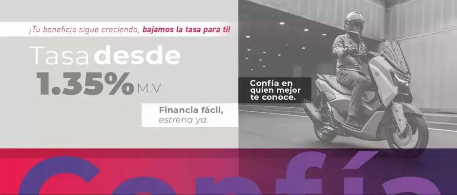 Catálogo Yamaha (válido hasta 31-01)