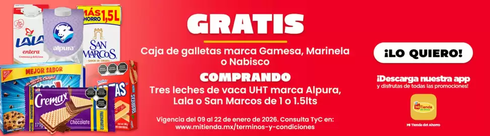 Folleto Mi Tienda del Ahorro Página 3