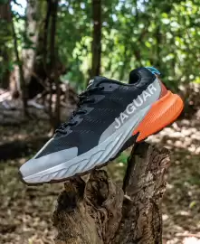 Catálogo Jaguar Shoes Página 2