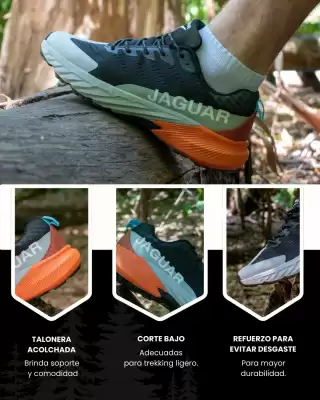 Catálogo Jaguar Shoes (válido hasta 31-01)